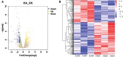 Dietary supplementation ellagic acid on the growth, intestinal immune response, microbiota, and inflammation in weaned piglets